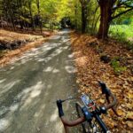 Raup Road