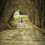 Boice Road